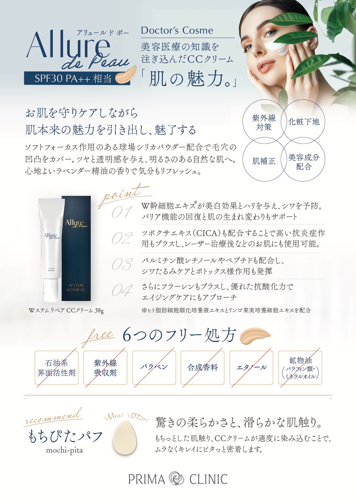 リーフレットの裏面