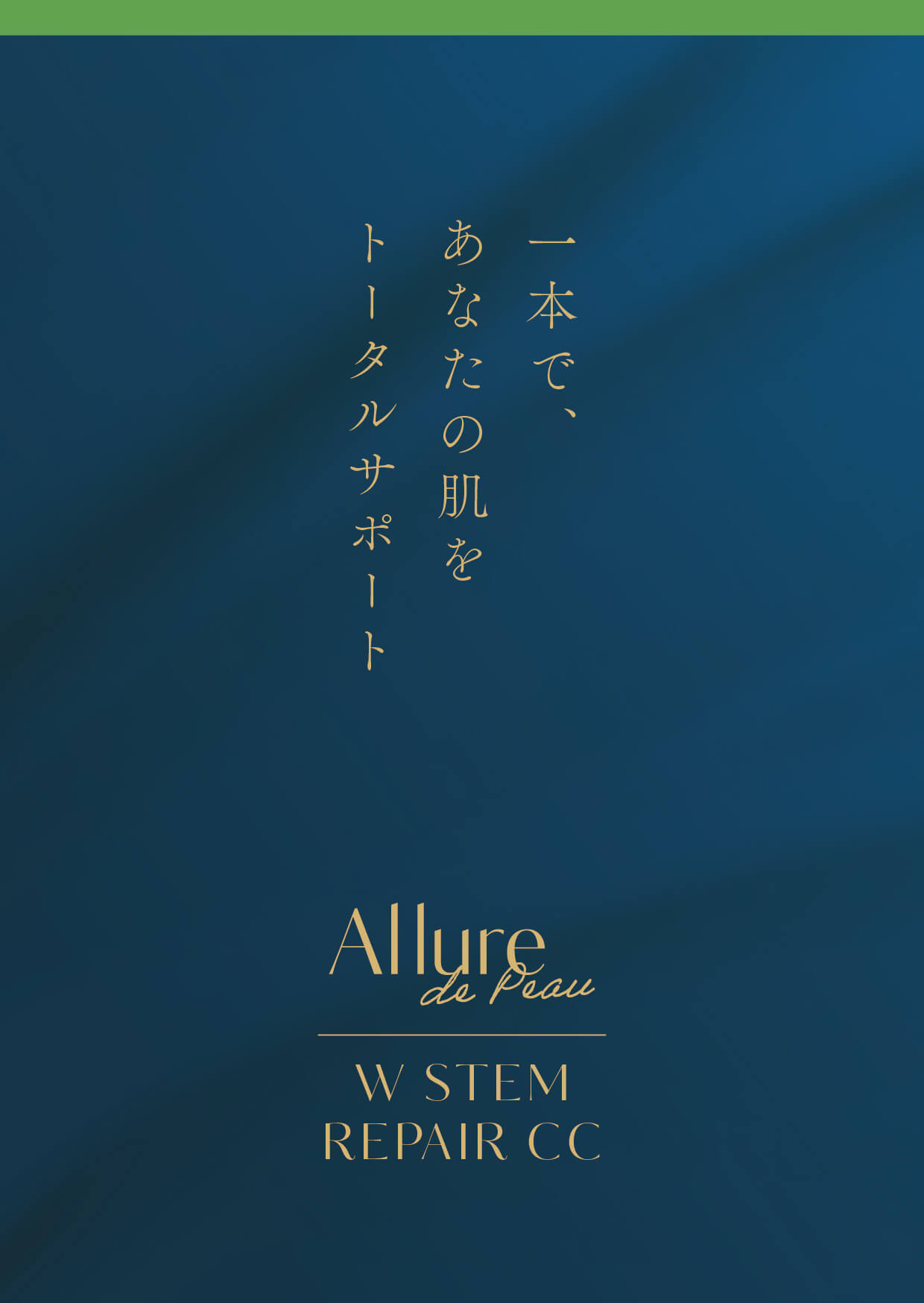 リーフレットの表面